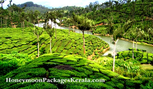 munnar tourist locations